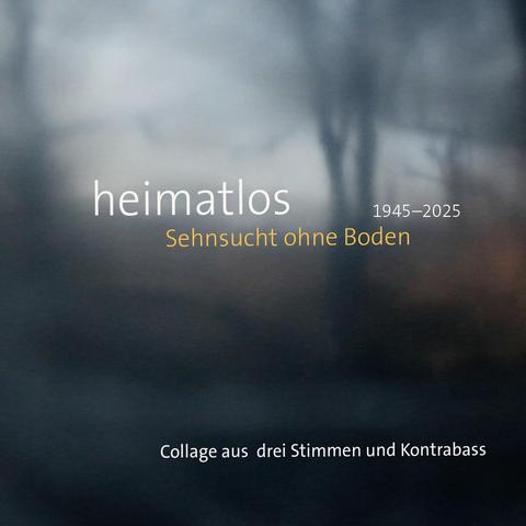 Titelseite Flyer: das unscharfe Bild einer Landschaft, in der Nähe sind Bäume zu erkennen. Darauf der Titel der Performance: heimatlos – Sehnsucht ohne Boden, 1945 - 2025, Collage für drei Stimmen und Kontrabass