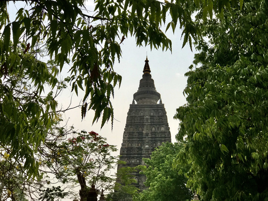 Zu sehen ist die pyramidenförmige Stupa des Mahabodhi Tempel in Bodhgaya. Augenommen vom Jai Prakash Park. Der Tempel ist eingerahmt von Bäumen und gehört seit 2002 zum Weltkulturerbe.