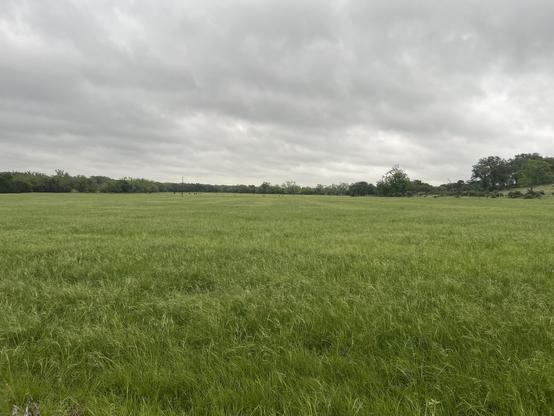 Green field under a cloudy sky