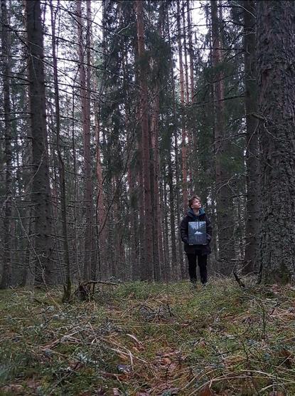 A gloomy forest with a person dressed in dark clothes and looking at the sky. The person is holding a painting that is barely visible as it's far from the camera. The trees are tall pine and bruce trees. It's about to rain.