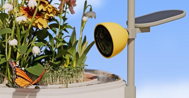 Bird Buddy's New Camera Films Plants and Insects Too.