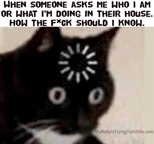 When someone asks me who I am or what I'm doing in their house. How the F*ck should I know.

[a cat with a loading icon on his forehead]