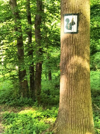 Panneau écureuil 🐿️ dans forêt