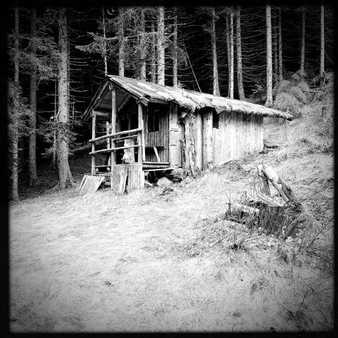 Una piccola casetta in legno su di un prato al bordo del bosco