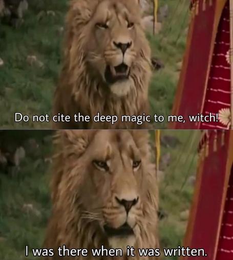 Image Text: "Do not cite the deep magic to me, witch! I was there when it was written"