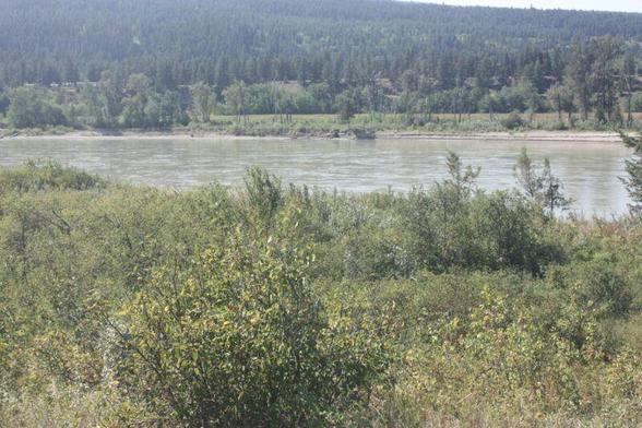 The banks of the Fraser River, showing where the first location was, and the last. 