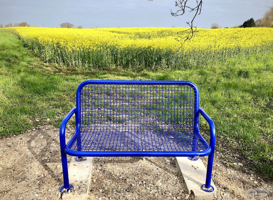 Das Bild zeigt eine leuchtend blaue Parkbank aus Metallgitter, die vor einem Feld mit gelben Rapsblüten steht. Im Hintergrund erstreckt sich ein grünes Feld. Der Himmel ist hellblau und fast wolkenlos. Das Bild wirkt ruhig und friedlich.