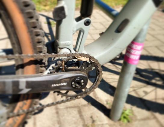Blick auf das Kettenrad eines Mountainbikes. Zwischen Kette und Kettenblatt klemmt Laub. 