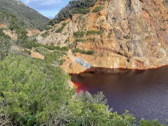 green bushes in the foreground, ochre-colored hills in the background, a bright red lake in the middle