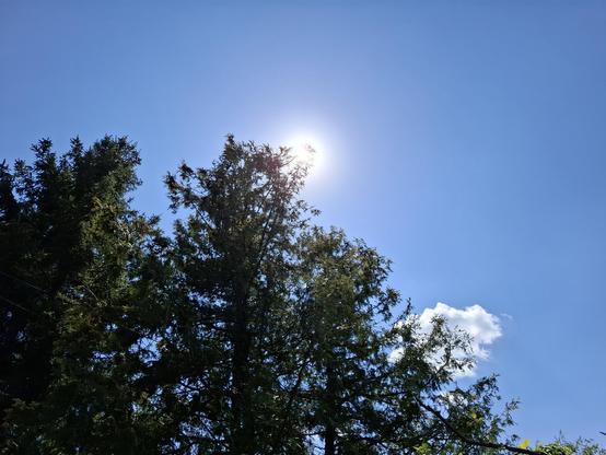 Afternoon sun, at the end of April