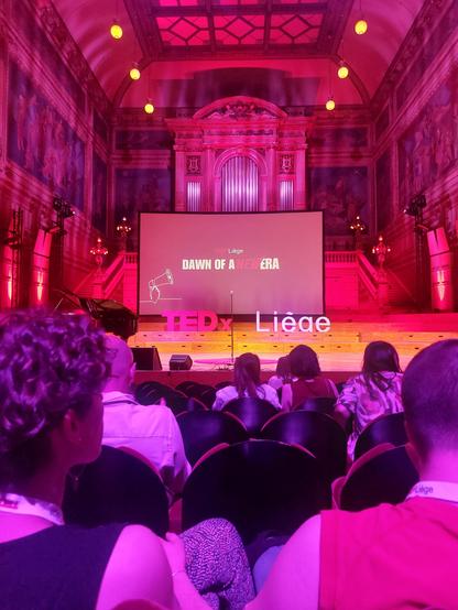 TedX Liège Timothée Parrique