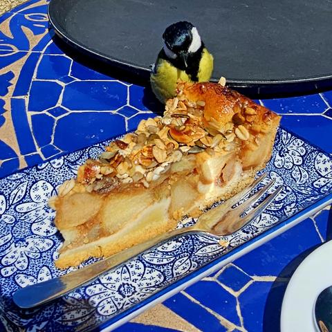 Een koolmees zit op de rand van een blauw mozaïektafeltje naast een stuk appeltaart met noten en zaden op een decoratief blauw-wit bord. Er ligt een vork naast de taart en de vogel lijkt geïnteresseerd in het gebak.