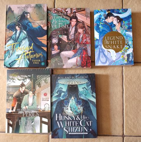 Fünf Bücher auf beigen Fliesen. Thousand Autumns, Disabled Tyrant beloved Pet Fish, Legend of the White snake, Perils of Pigeon Post, Husky and his white Cat Shizun