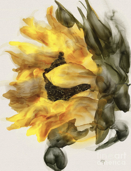 Sunflower In Profile ... digitally hand painted with the fabulous #watercolor brushes in #Rebelle ... at my website as lots of wall art options and gift ideas like coffee mugs, puzzles, tshirts, tote bags and more:  

https://lois-bryan.pixels.com/featured/sunflower-in-profile-lois-bryan.html

#sunflower #digitalhandpainting #ayearforart #buyintoart #flowers #digitalwatercolor #LoisBryan