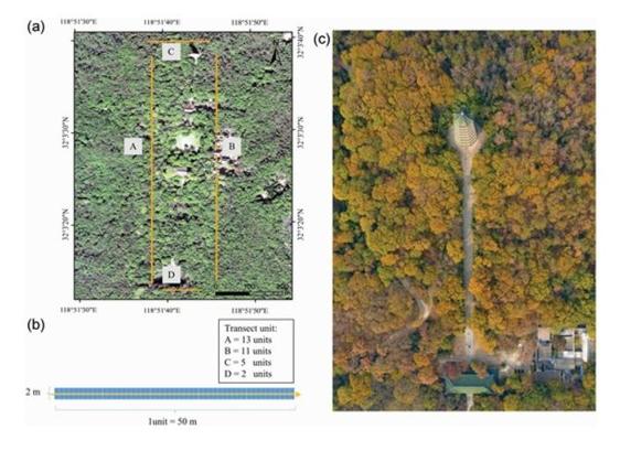 Location and views of the survey transects. The four transects of the Spirit Valley Forest in the Purple Mountain of Nanjing were shown (Photo credit: Xin-Yu Miao).