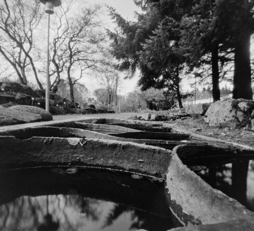 A black and white picture taken at the botanical garden in Reykjavik. Taken with a pinhole camera.