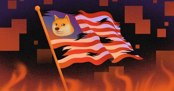 Inside DOGE: Musk's Troubled Agency Faces Growing Backlash