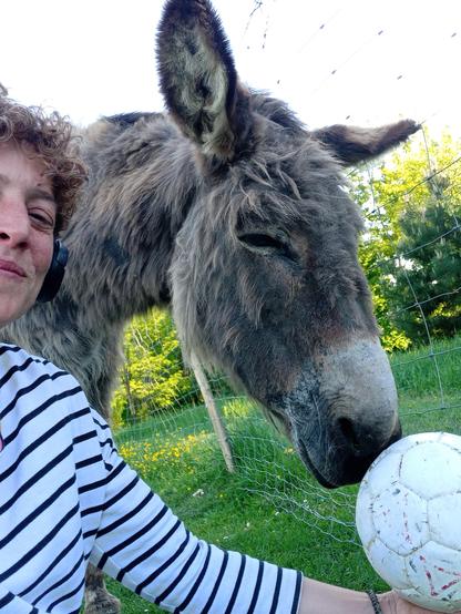 Photo de Surprise qui sent le ballon, toute souriante