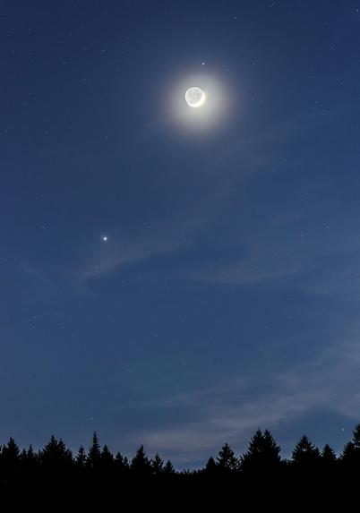A blue dusk sky with some very light clouds. The crescent Moon is towards the top, with Jupiter lower and to the left. There are dark pine trees silhouetted along the skyline below. 