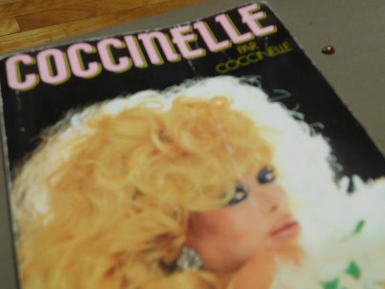 Photographie d'une coccinelle proche de l'autobiographie de Coccinelle (l'artiste française trans)