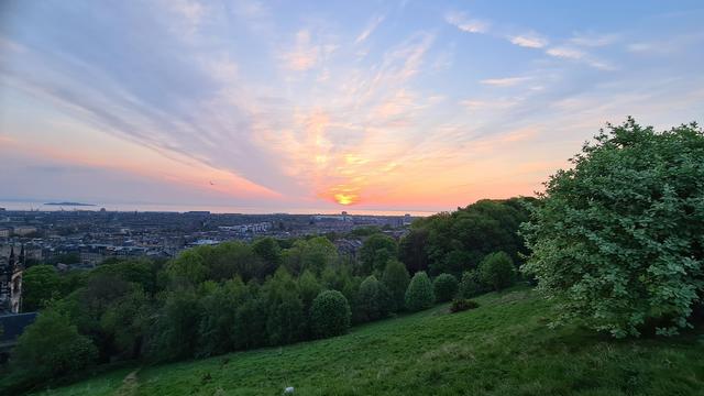 Picture of blue sky sunrise with white to pink to orange clouds and sun centre over a sea in the distance, buildings middle and green trees and foliage foreground
