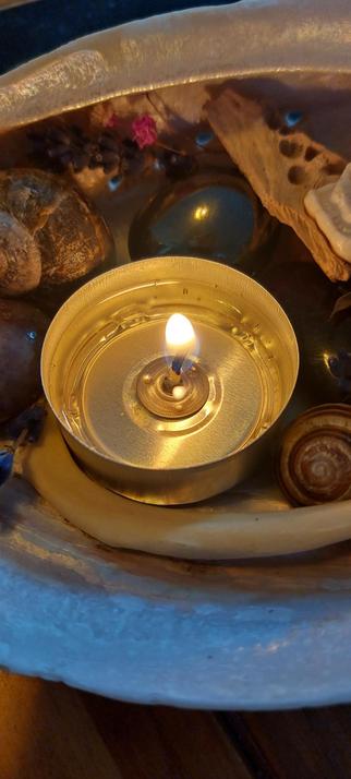 A tea light in a large shell, with bits of bone, stones, and plant matter.
