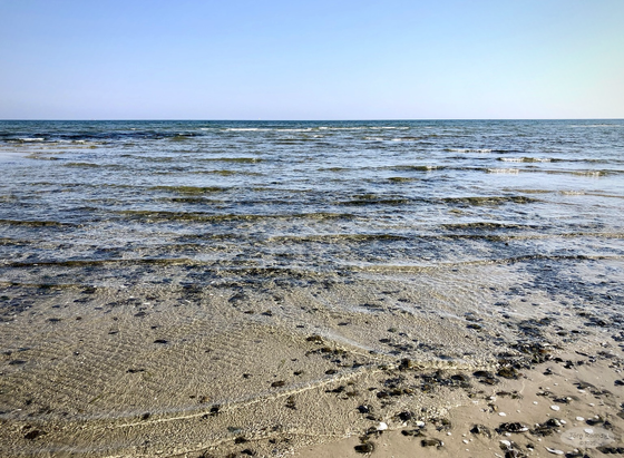 Das Bild zeigt eine ruhige Meereslandschaft an der Ostseeküste an einem sonnigen Tag. Der Fokus liegt auf dem seichten Wasser nahe dem Strand, wo man durch das klare Wasser Steine und Muscheln auf dem Meeresgrund sehen kann. Kleine Wellen plätschern sanft ans Ufer. Der Horizont ist weit entfernt und zeigt einen klaren blauen Himmel. Das Gesamtbild wirkt friedlich und entspannend.