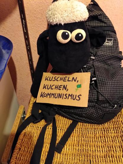 Plüschschaf Shawn schaut aus einem Rucksack heraus. Um den Hals trägt er ein Schild mit dem Text: "Kuscheln, Kuchen, Kommunismus". 