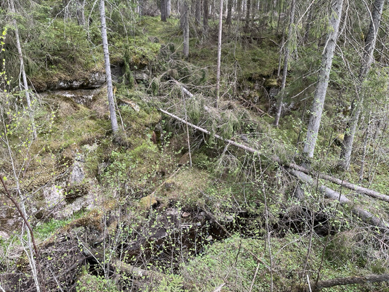A picture of a little creek with running water