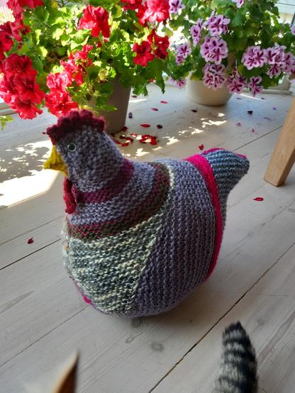 Und poule en tricot