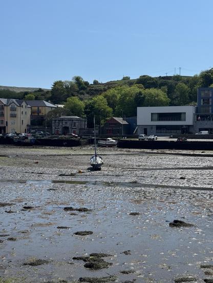 A white and blue sail boat sits on muddy ground as the tide has drained all the water from the body of water. Behind the sailboat, you can see another small white boat closer to the sea wall. On the other side of the sea wall is a street with a few buildings. Above them is a blue, cloudless sky.