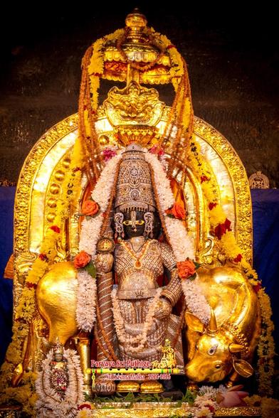 Idol of Hindu deity Krishna decorated in diamond-studded cladding, holding a similarly-clad staff in right hand, matching crown, gold arch behind, small gold umbrella above, and gold shoes. Krishna stands on a gold perch with a gold cow behind him. White flower garland around Krishna's crown flowing all the way around either side of the cow. Blue cloth background.