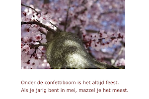 Roze picknick, screenshot