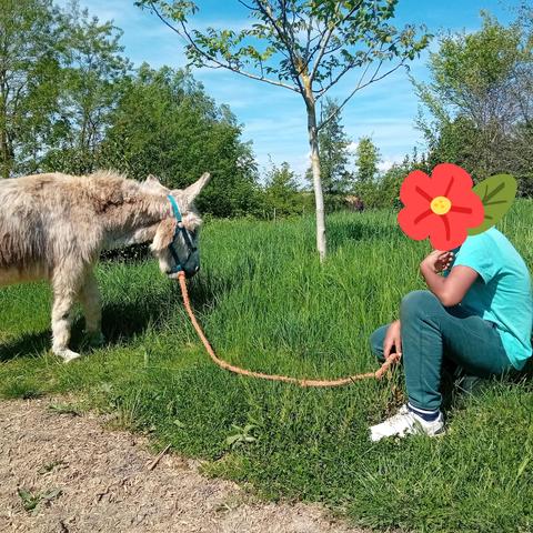 Assis à côté de Gourmand dégustant de la bonne herbe. La longe à la main