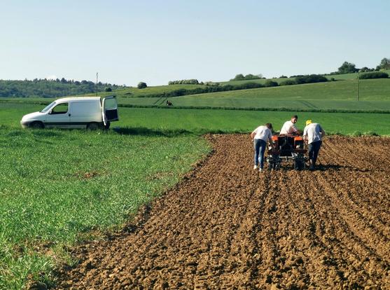 Un champ est en train d'être semé par des agriculteurs, à gauche est garée leur camionnette blanche.