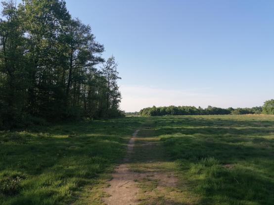 Weg auf dem Egelsberg