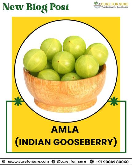 "🍀 Amla – The Superfood for Health & Wellness! 🍀


📢 Tag a friend who needs this & save for later! 🙌
📍 Learn more: cureforsure.com
📌 Read More: https://cureforsure.com/blog/2022/05/30/amla-indian-gooseberry/📸 Follow us on Instagram: @cure_for_sure
📞 Contact: +91 9004980060