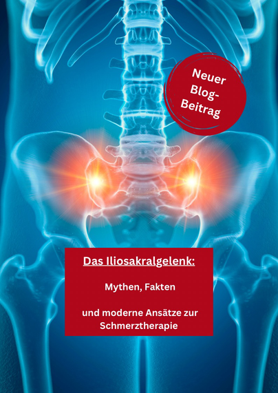 Das Iliosakralgelenk. Unser neuer Blog. 
