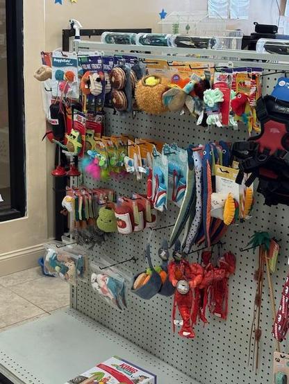 Cat Toys
