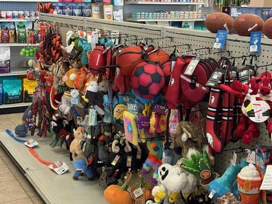 Dog Toys