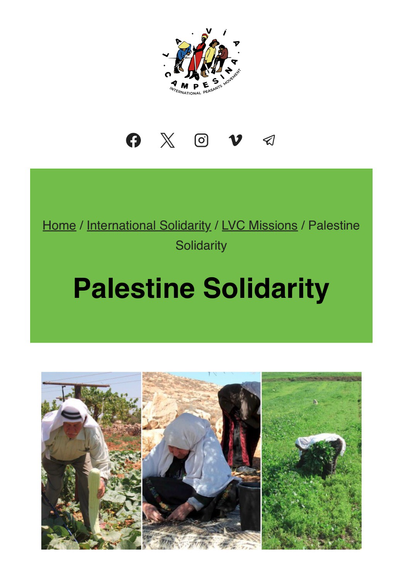 #ViaCampesinaPalestine  La Via Campesina | International Solidarity 🇵🇸 Palestine Solidarity 🕊️ 👉 https://viacampesina.org/en/international-solidarity/la-via-campesina-missions/palestine-solidarity-process  #LaViaCampesina #InternationalSolidarity  #PalestineSolidarity #Palestine #Solidarity 