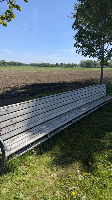 Eine lange Bank aus Holz