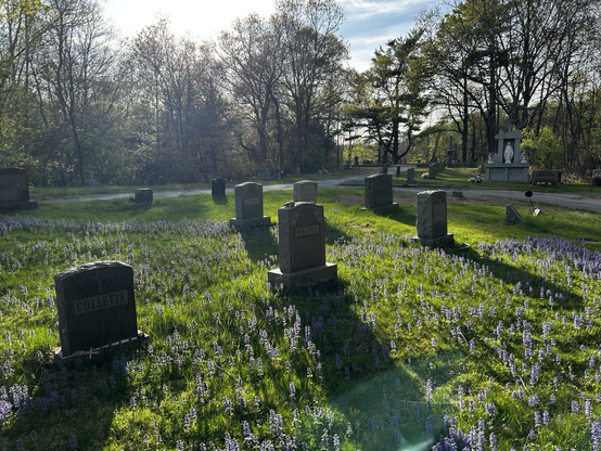 Graveyard at twilight 