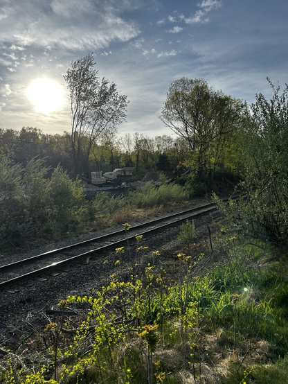 Train tracks at twilight 