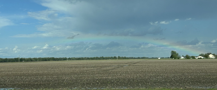 A low, nearly flat rainbow 