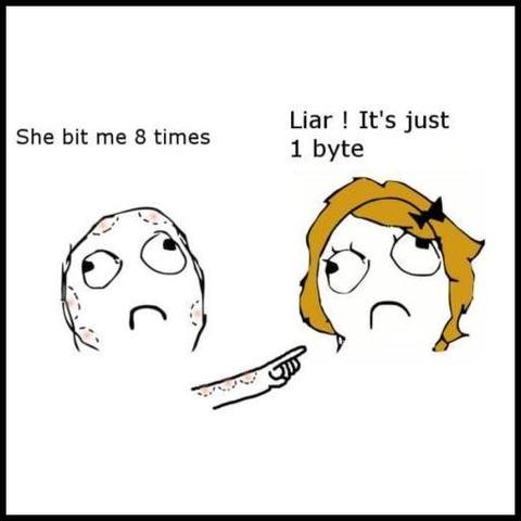 Comic showing a guy saying "She bit me 8 times" and a girl replying "Liar! It's just 1 byte."