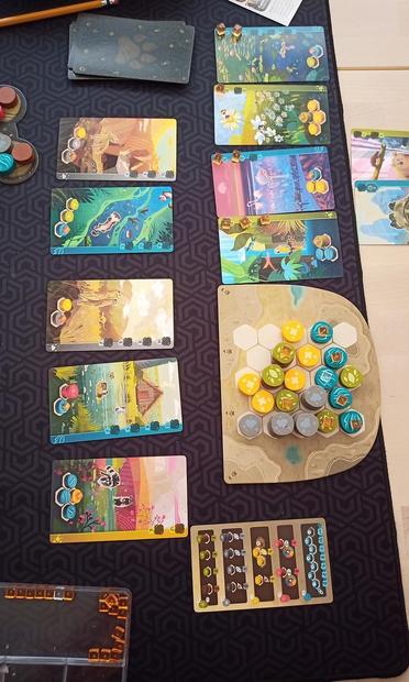 Harmonies boardgame after a finished play