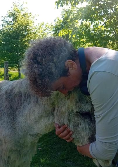 Un câlin pour Cadeau, l'hypersensible