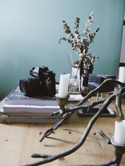 A coffee table with a few books, on top of which is an old film camera. In the foreground is a candelabra in the shape of tree branches, while in the background is a vase of dried eucalyptus leaves.