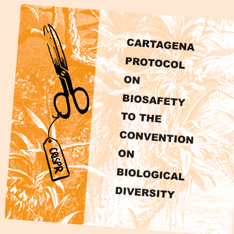 biosafety